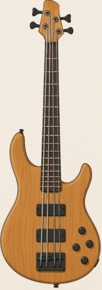 4-String Bass