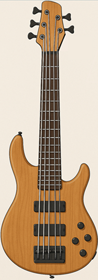 5-String Bass