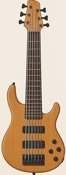 6-String Bass
